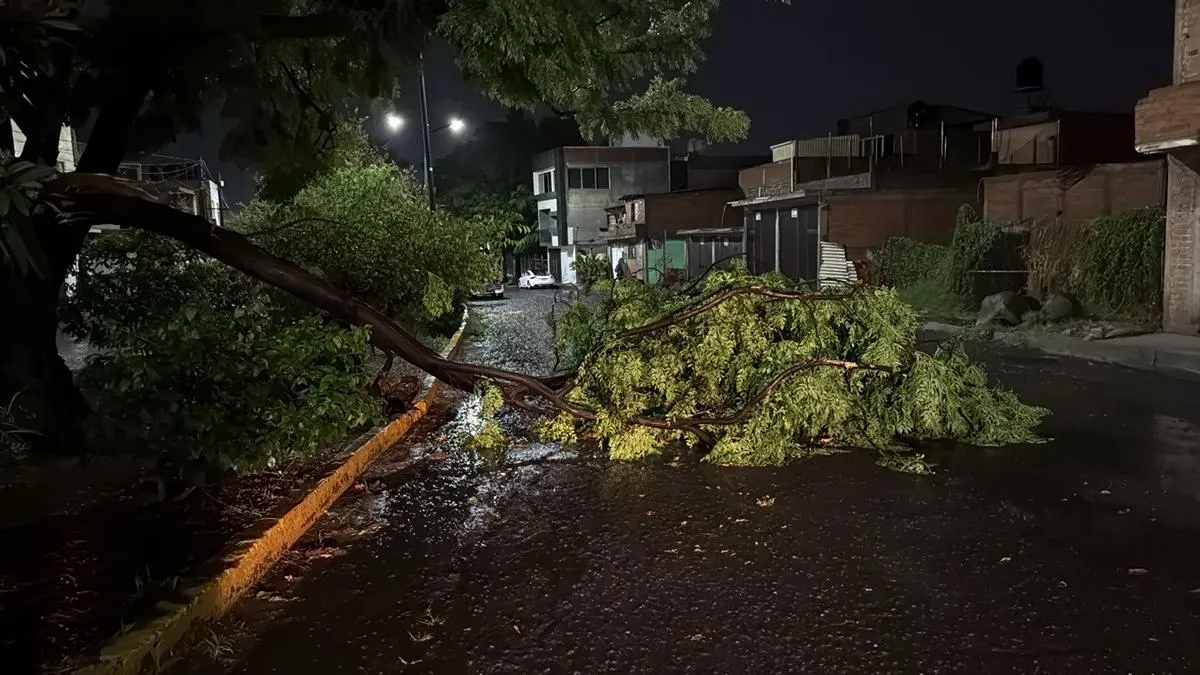 Deja tormenta en Morelia 6 árboles caídos, y apagones en 5 colonias