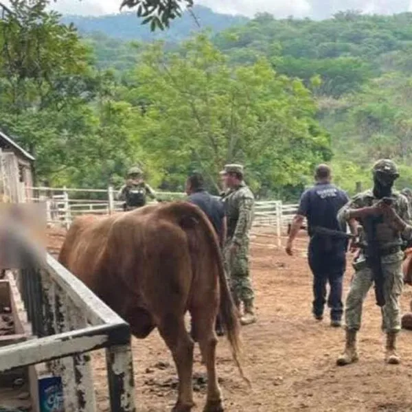 Detienen a implicado en homicidio tras operativo en Michoacán