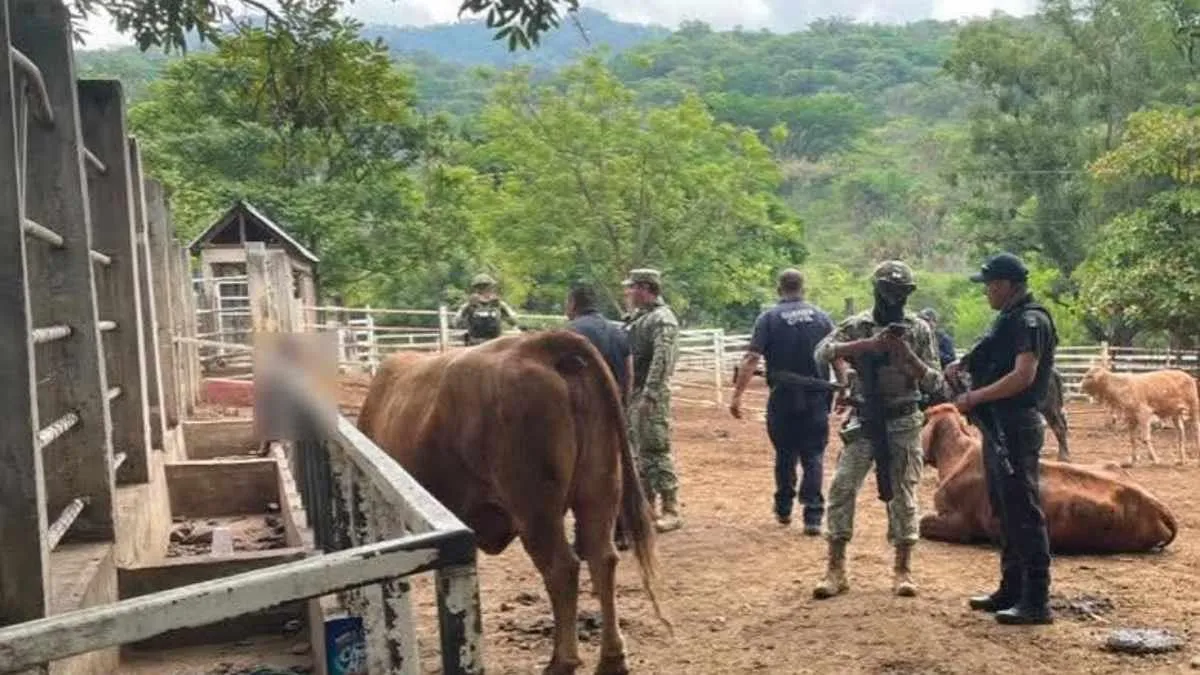 Detienen a implicado en homicidio tras operativo en Michoacán