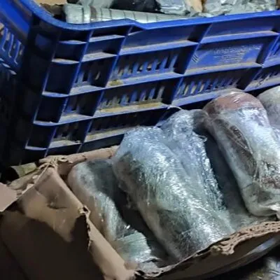Ejército Mexicano asegura artefactos explosivos tras hallazgo de un campamento clandestino en Michoacán
