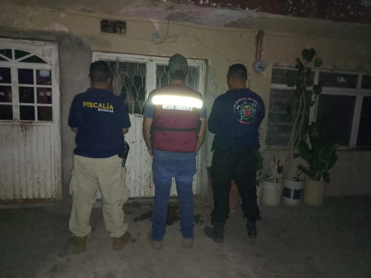 En Apatzingán, rescata FGE a 7 caninos en condiciones de maltrato