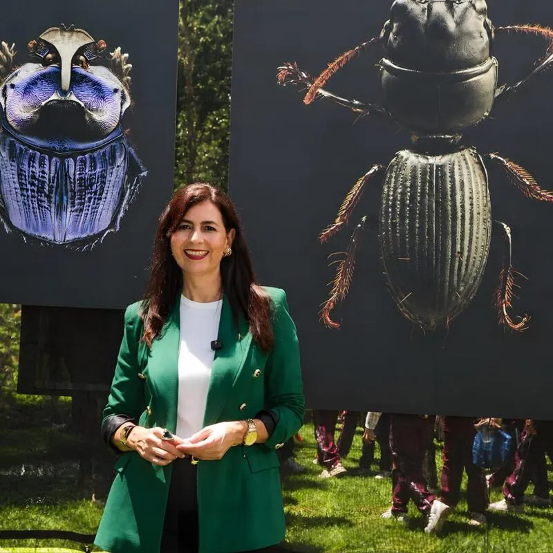 Con “Insectus”, niñas y niños aprenderán ciencia desde el asombro: Gabriela Molina
