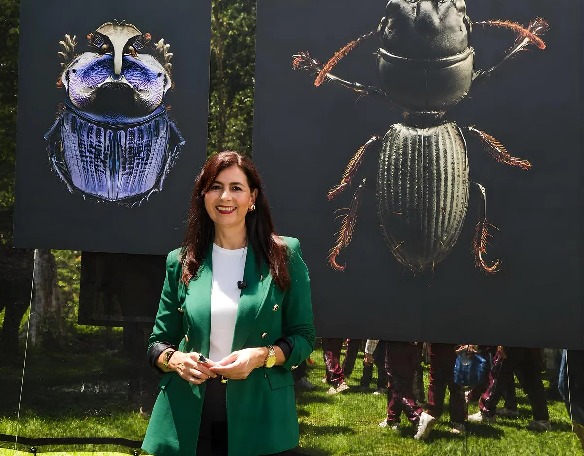 exposición Insectus ciencia Gabriela Molina 1