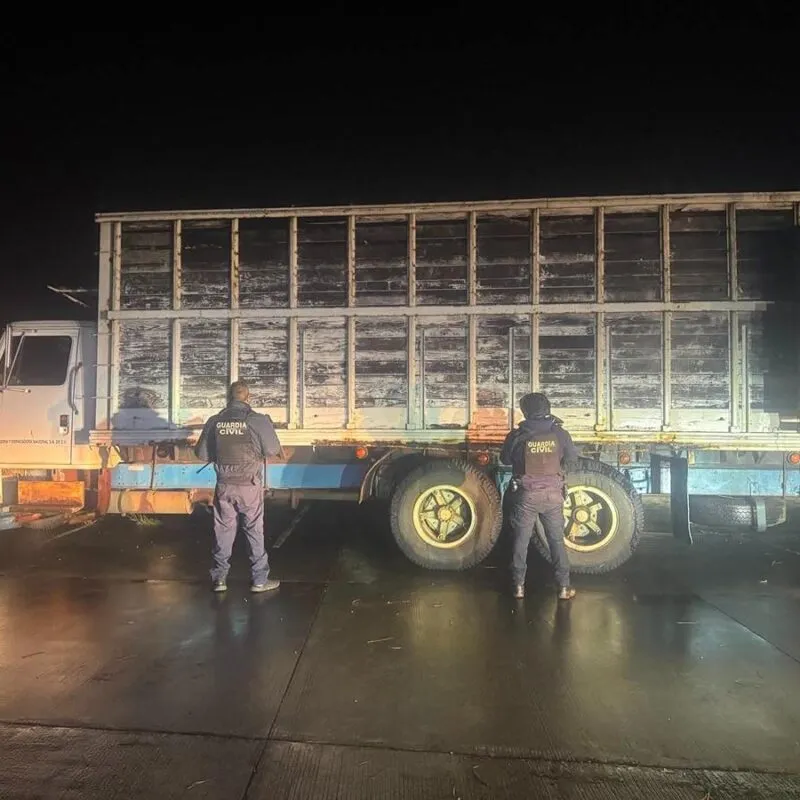 Guardia Civil asegura un camión con madera de procedencia ilícita en Michoacán