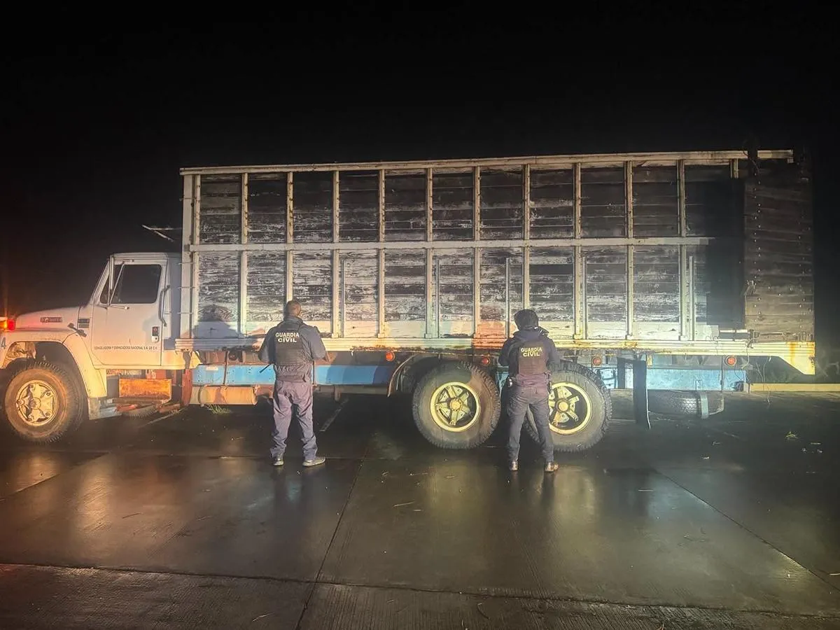 Guardia Civil asegura un camión con madera de procedencia ilícita en Michoacán