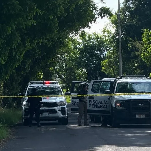 Hallan a un hombre sin vida en huerta de aguacate de Tacámbaro; aseguran un vehículo