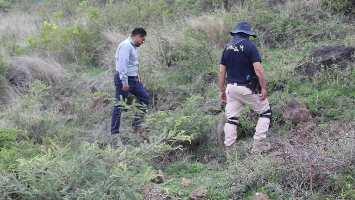 Hallan restos óseos y prendas durante búsqueda en Mirador del Quinceo, en Morelia
