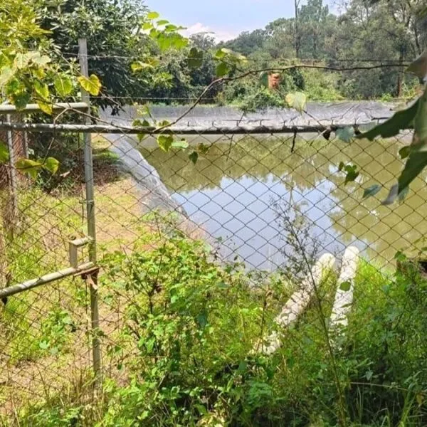 Localizan cuerpo de hombre desaparecido dentro de una huerta de aguacate en Michoacán