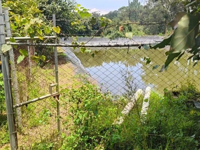 Hallan sin vida a hombre desaparecido en huerta de aguacate en Michoacán