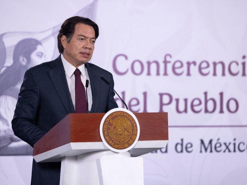 interés político Mario Delgado sobre CNTE