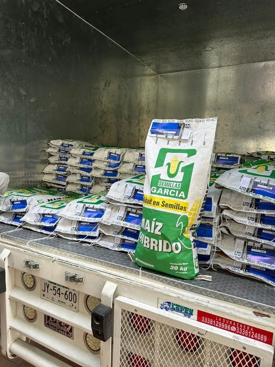 Michoacán distribuye semilla certificada que blindará más de 6 mil hectáreas de cultivo-1
