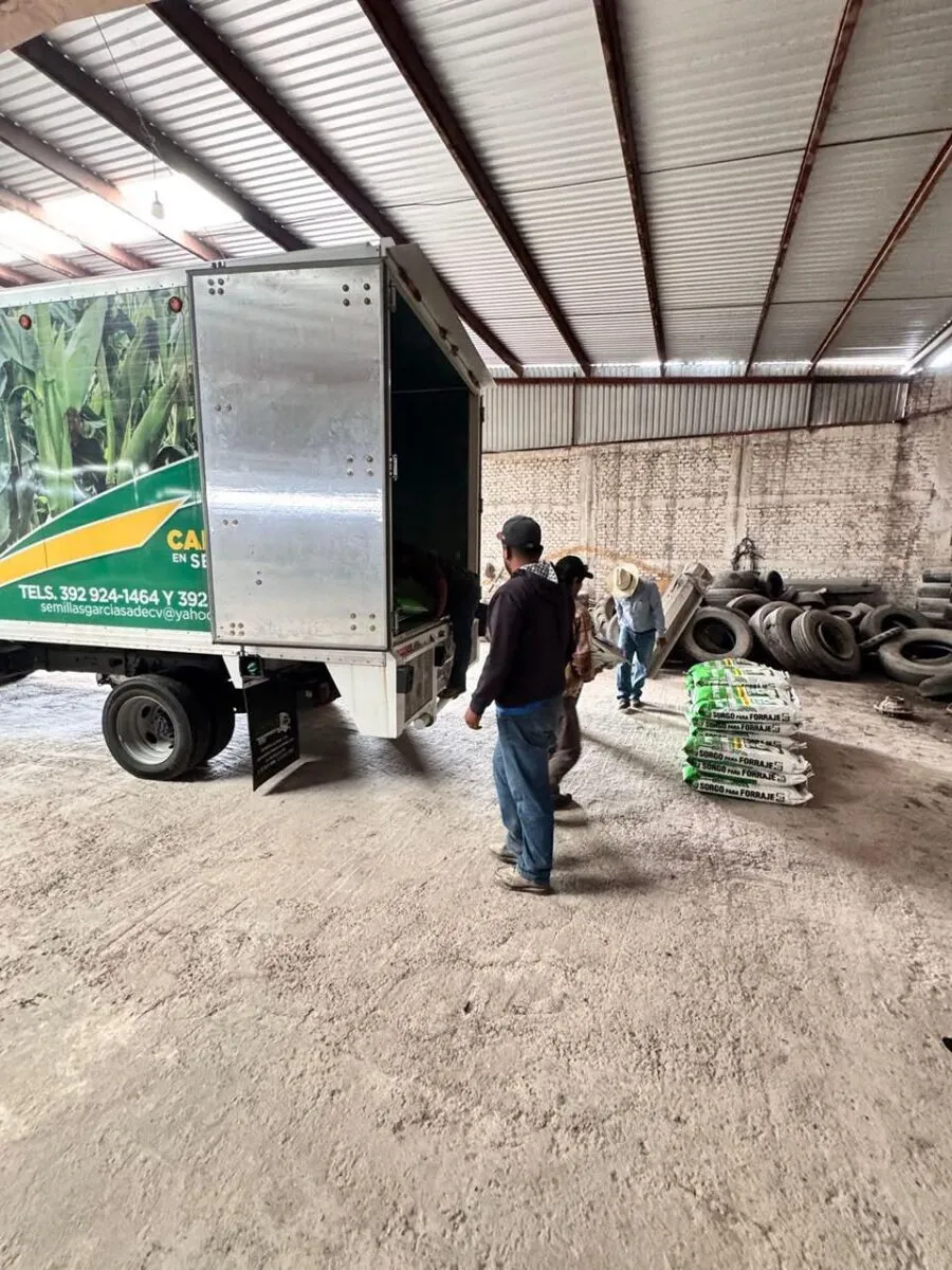 Michoacán distribuye semilla certificada que blindará más de 6 mil hectáreas de cultivo-2