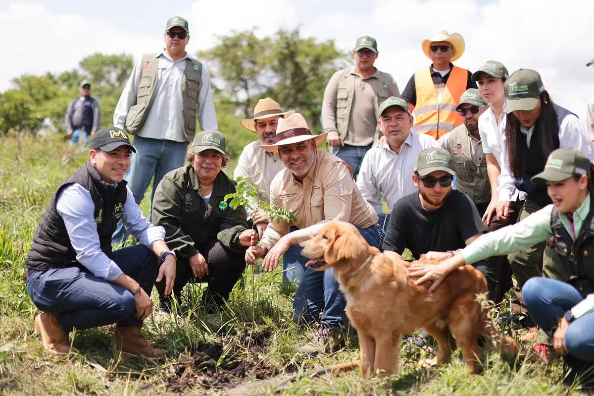 Michoacán va por récord verde; inicia Bedolla campaña para plantar 13 millones de árboles