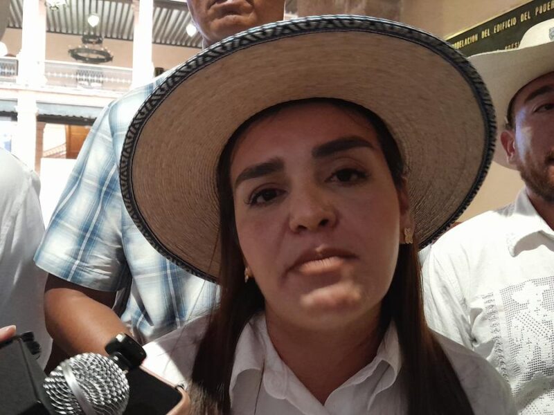 Otorga TEEM medidas cautelares a Grecia Quiroz contra veto para entrar a Palacio Legislativo