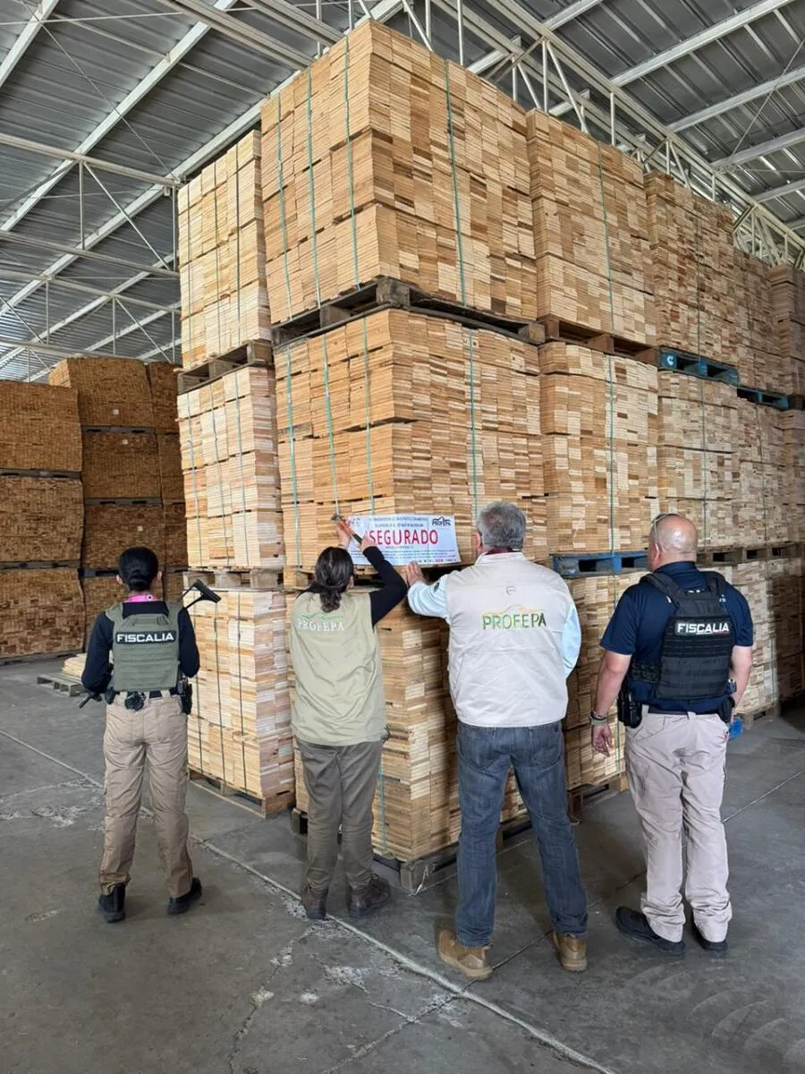 Participa FGE en operativo conjunto que derivó en aseguramiento precautorio de productos forestales en Madero-2
