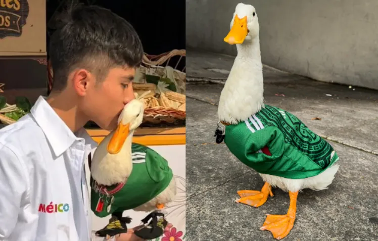Pato Merlín: revelan que la marca habría sido registrada antes que su dueña; surge polémica tras su viralidad