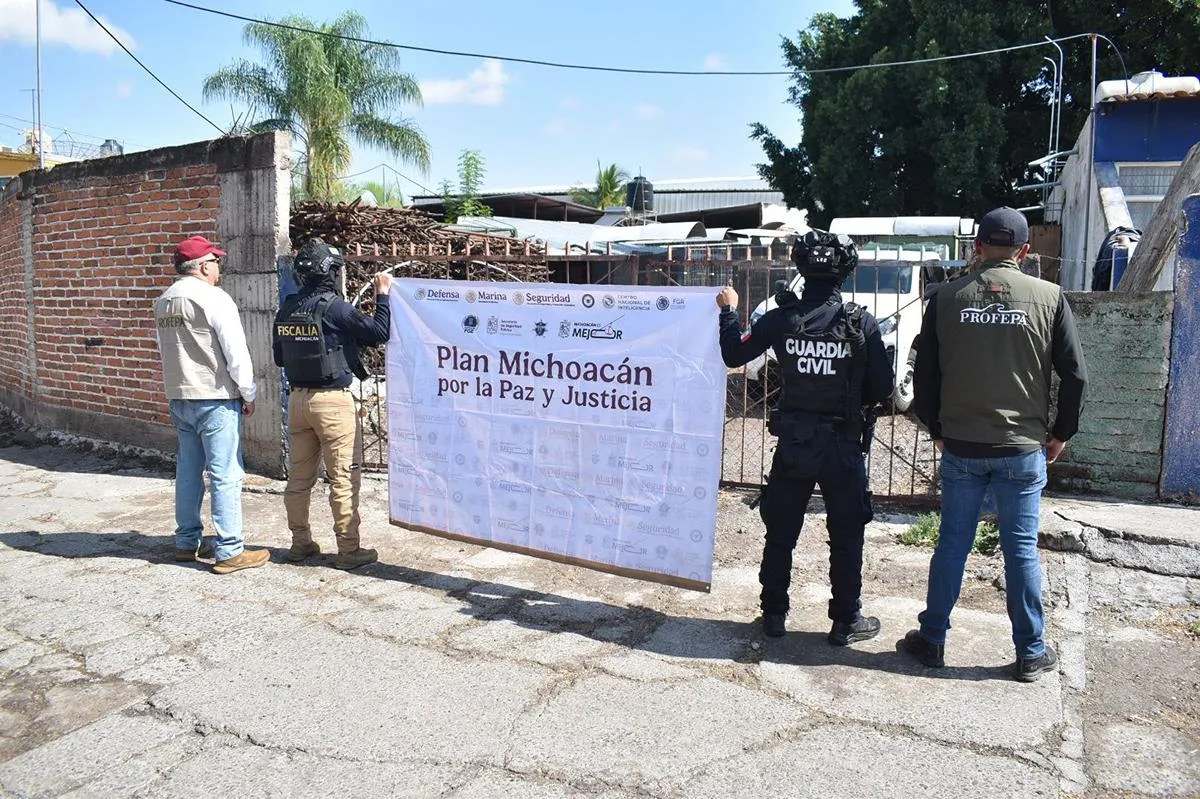 Rescata FGE ejemplar de tigre de bengala cachorro durante cateo en Ecuandureo-2