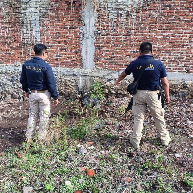 Rescata FGE Michoacán a 3 ejemplares caninos en situación de maltrato animal durante cateo en Jiquilpan
