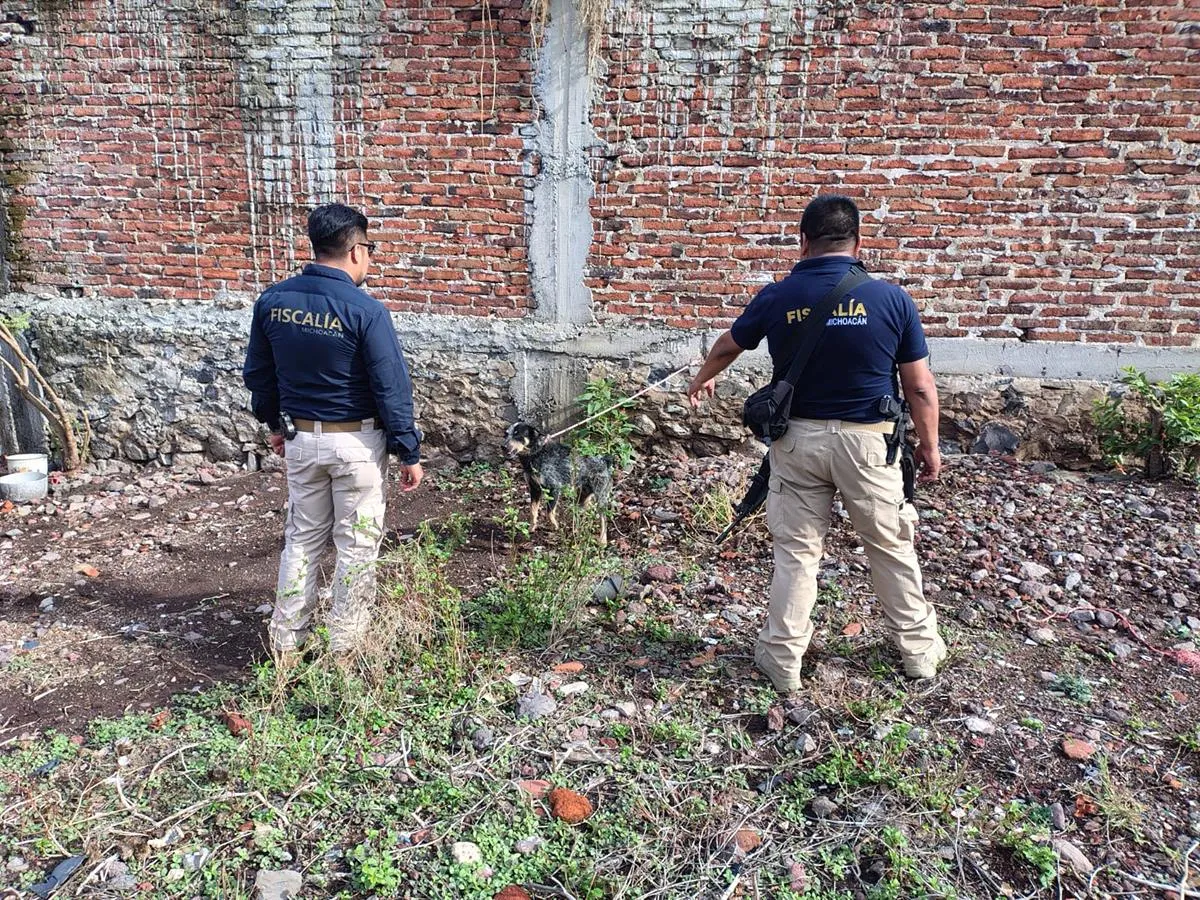 Rescata FGE Michoacán a tres ejemplares caninos en situación de maltrato animal durante cateo en Jiquilpan