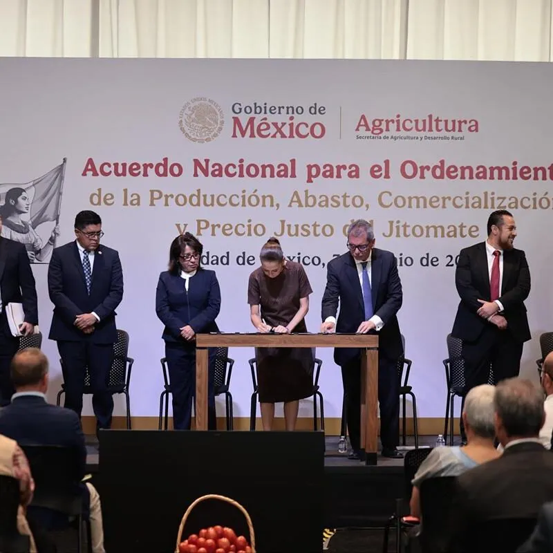 Sheinbaum asegura producción de jitomate en México