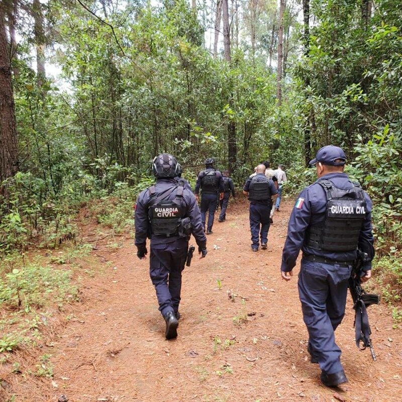 SSP fortalece acciones operativas para prevenir tala clandestina y cambio de uso de suelo