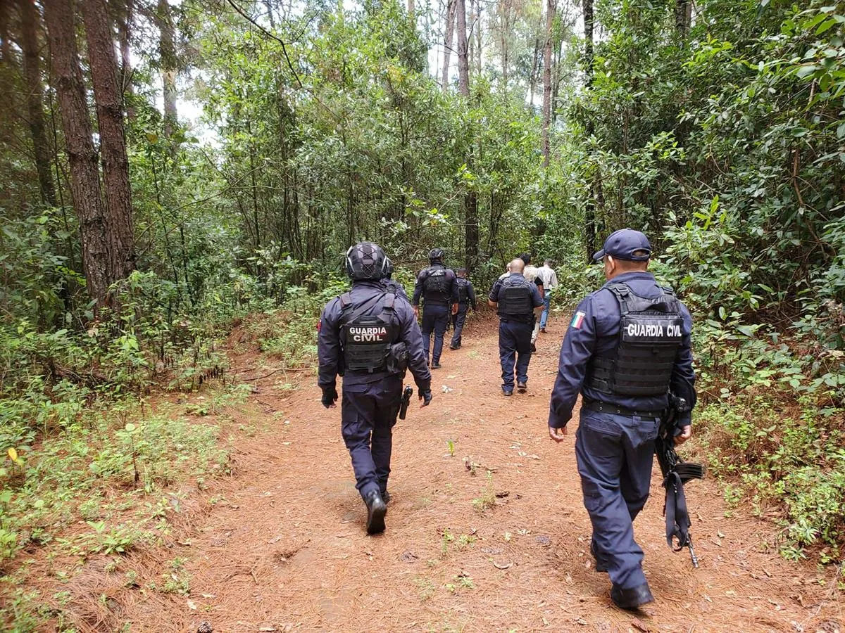 SSP acciones operativas prevenir tala clandestina cambio de uso de suelo