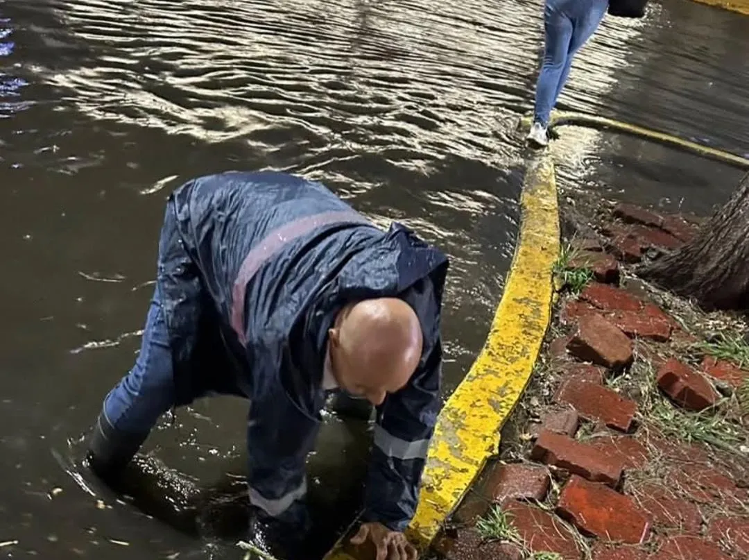 tormenta deja 6 árboles caídos, 2 rescates y apagones en 5 colonias en Morelia
