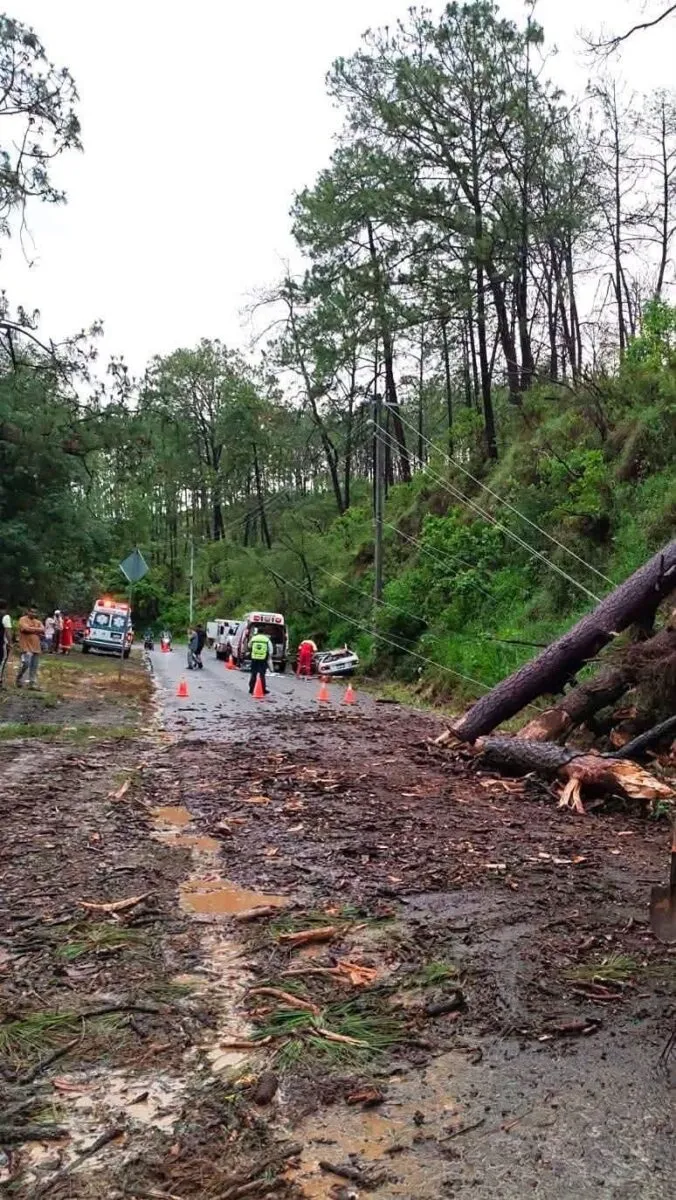 Árbol cae sobre taxi que circulaba en la Tacámbaro-Chupio-1