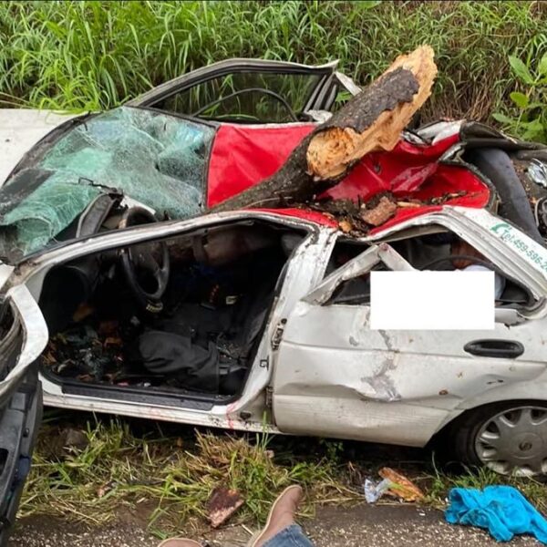 Árbol cae sobre taxi que circulaba en la Tacámbaro-Chupio; fallece un hombre y tres más resultan heridos