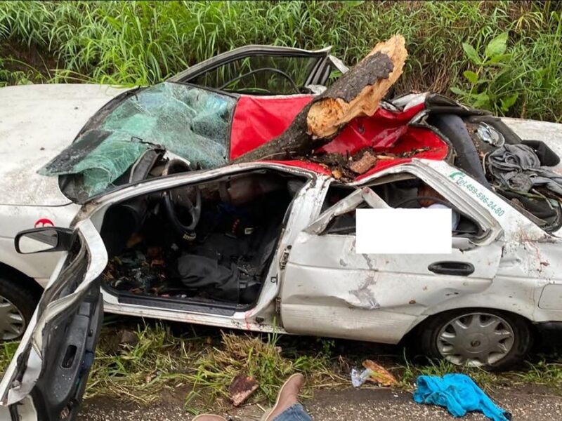 Árbol cae sobre taxi que circulaba en la Tacámbaro-Chupio