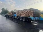 Asegura FGE tres camiones con producto forestal y pone a disposición a tres personas por presunto uso de documentación falsa en Charo