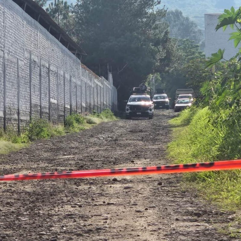 Asesinan a un comerciante de pollo mientras conducía en una brecha en Zamora