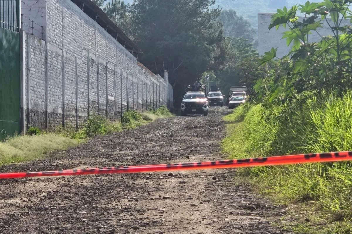 Asesinan a un comerciante de pollo mientras conducía en una brecha en Zamora