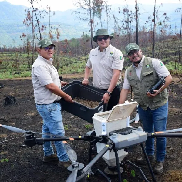 Así es la tecnología de las semillas que reforestan los bosques michoacanos