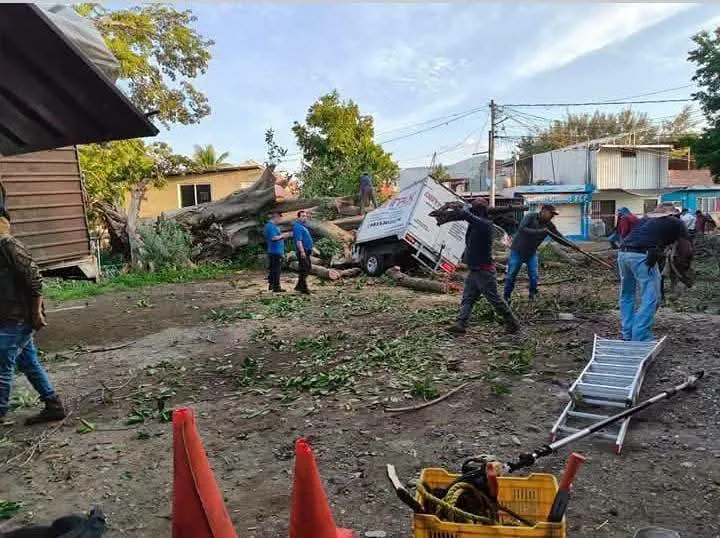 caída árbol pochota Apatzingán daños vehículos