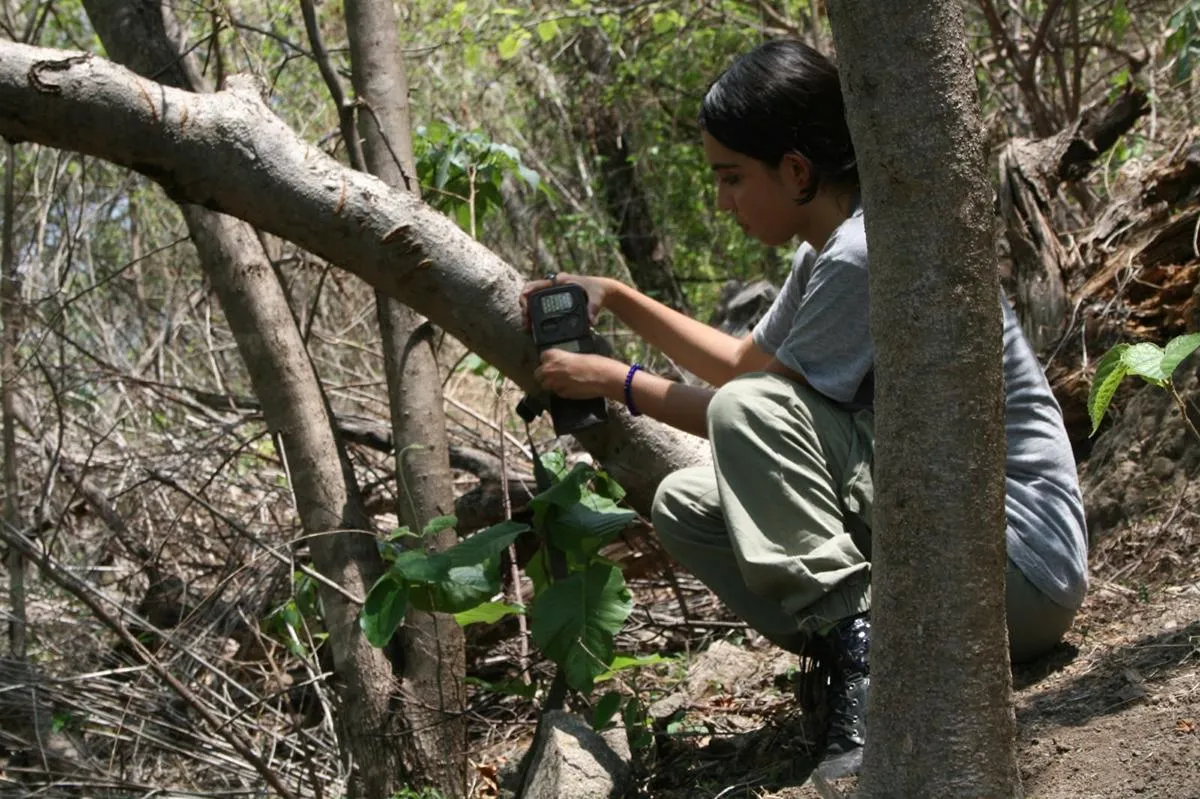 cámaras trampa captan la vida silvestre en bosques de Michoacán