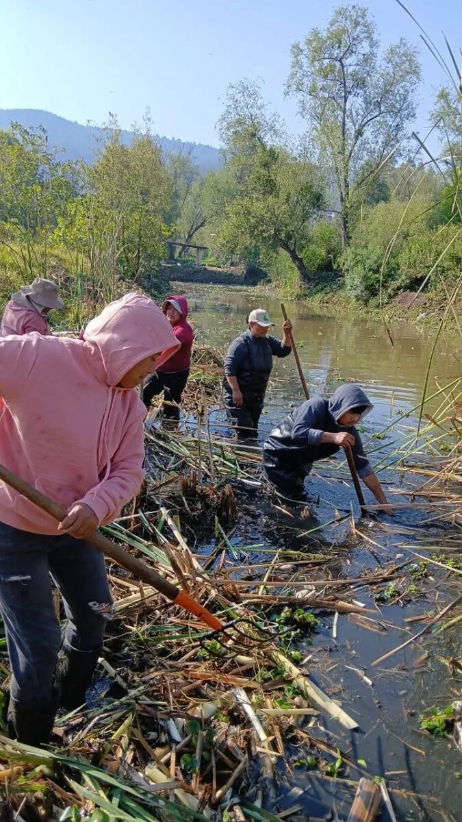 Con obras de conservación, Programa de Empleo Temporal en lago de Pátzcuaro