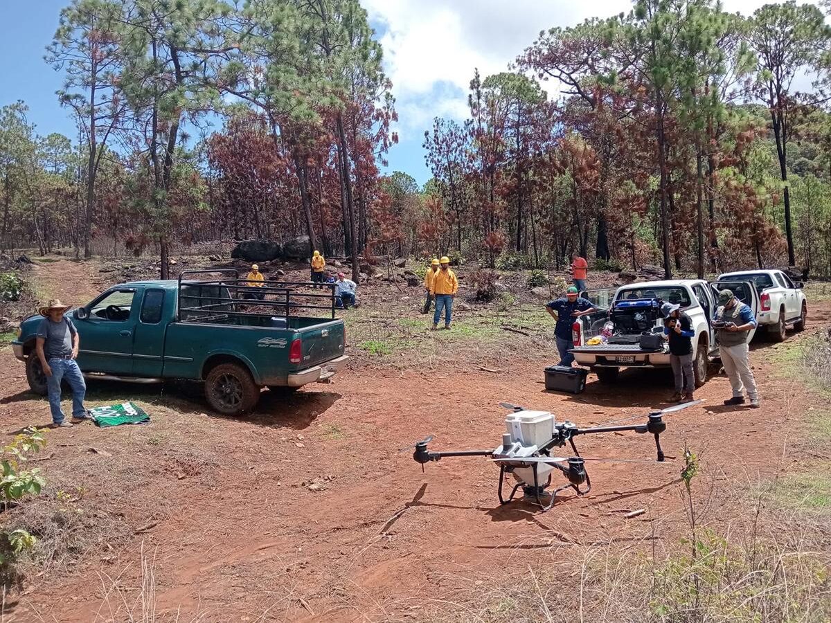 Drones reforestan las zonas más inaccesibles de Michoacán con programa Bio Renace