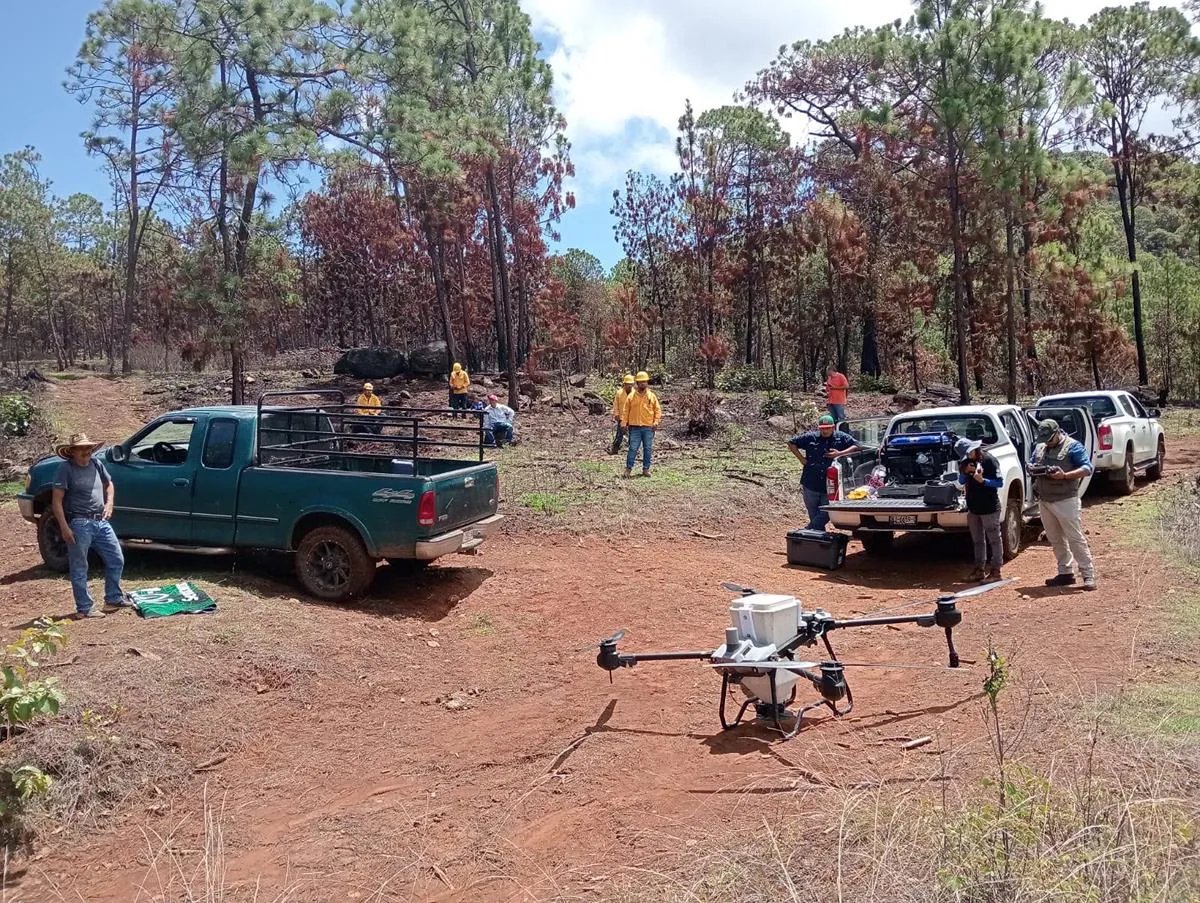 Drones reforestan las zonas más inaccesibles de Michoacán con programa Bio Renace