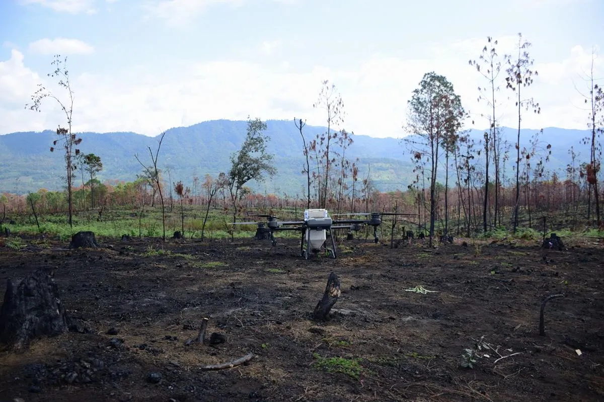 Drones reforestan las zonas más inaccesibles de Michoacán