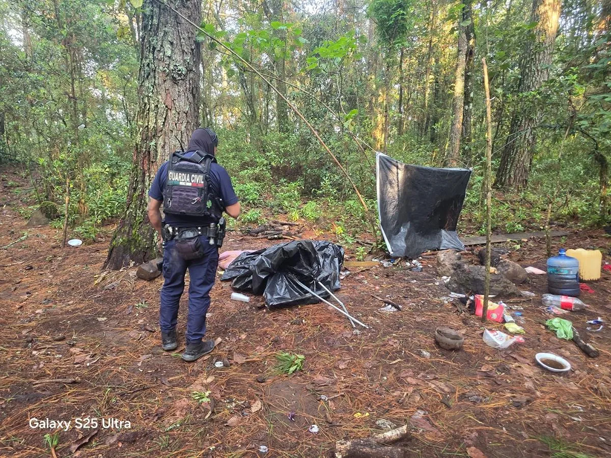 Elementos de la Guardia Civil desmantelan campamentos aparentemente del crimen organizado en Michoacán