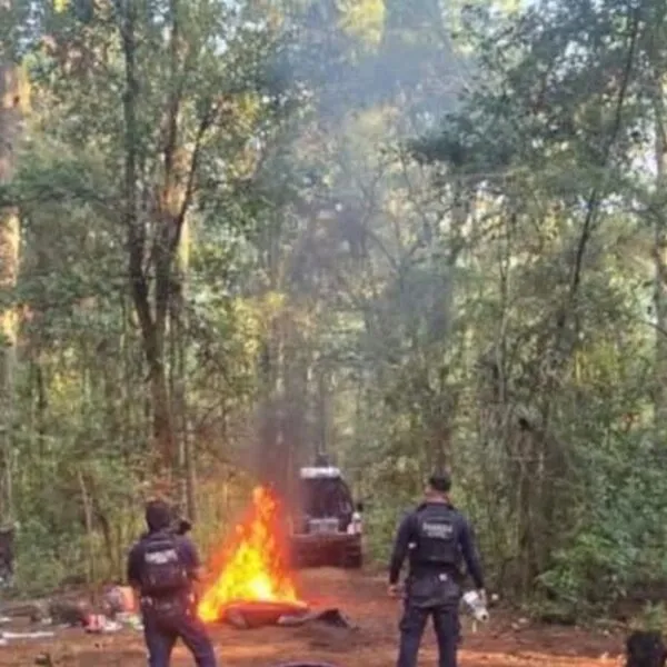 Elementos de la Guardia Civil desmantelan tres campamentos aparentemente utilizados por el CO en Michoacán
