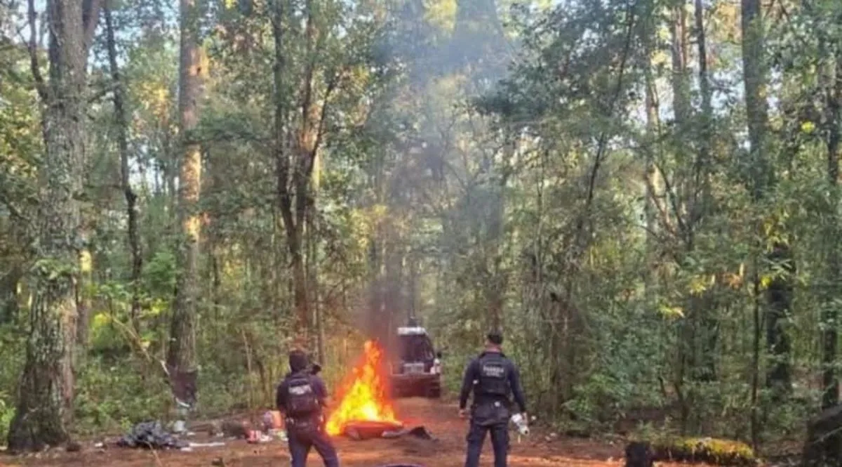 Elementos de la Guardia Civil desmantelan tres campamentos aparentemente utilizados por el CO en Michoacán