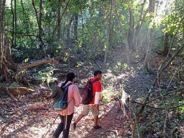 Este verano explora las áreas naturales protegidas de Michoacán en familia