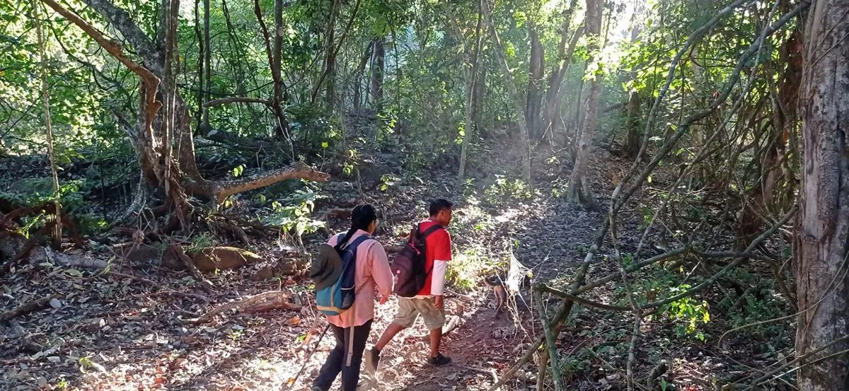 Este verano explora las áreas naturales protegidas de Michoacán en familia