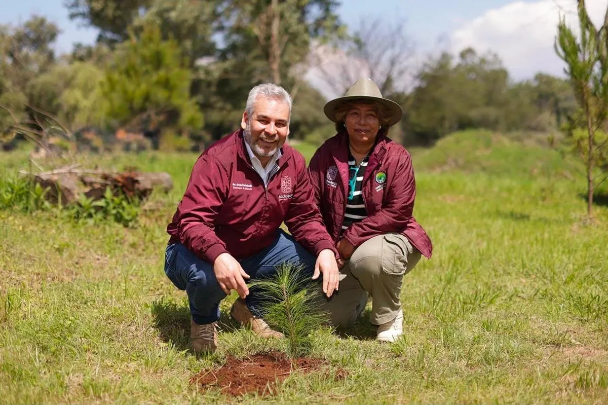 Estrategia ambiental de Michoacán sumará 50 millones de árboles reforestados: Bedolla