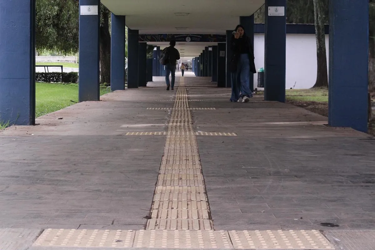 Gestión de Yarabí Ávila implementa acciones para construir una universidad más inclusiva