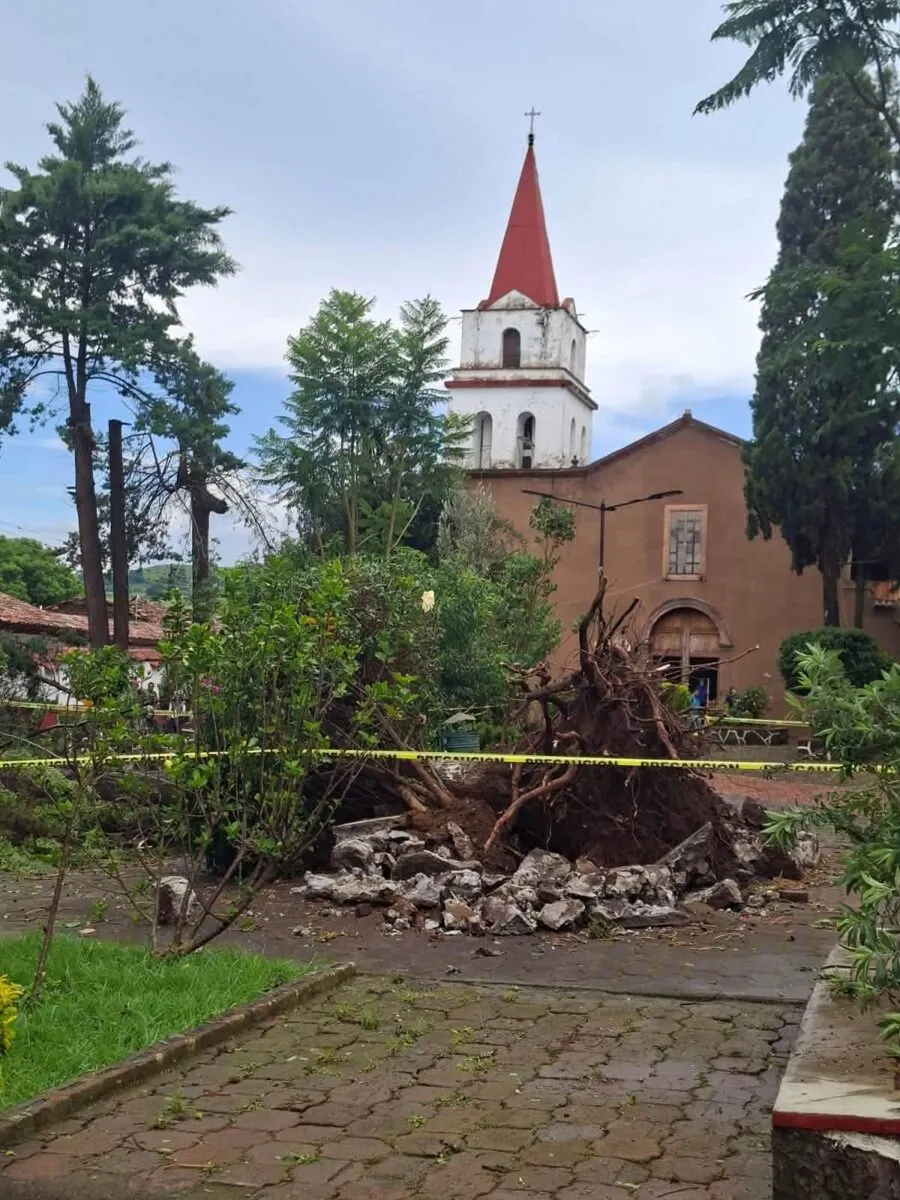 Intensas lluvias en Huiramba deja 11 árboles caídos y daños en vehículos-1