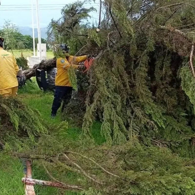 Intensas lluvias en Huiramba deja 11 árboles caídos y daños en vehículos