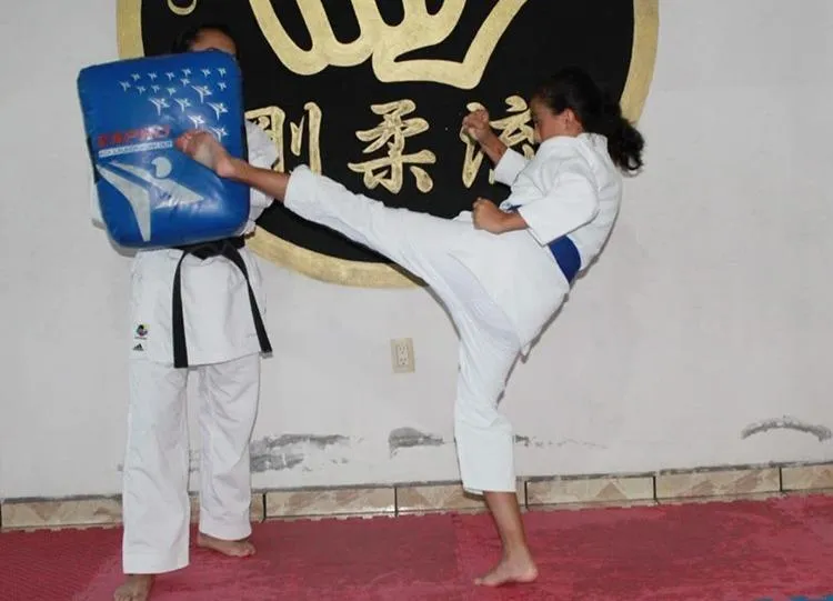 Invitan a niños y jóvenes al Curso de Verano 2026 de Eiken Dojo Karate Do 2026-1